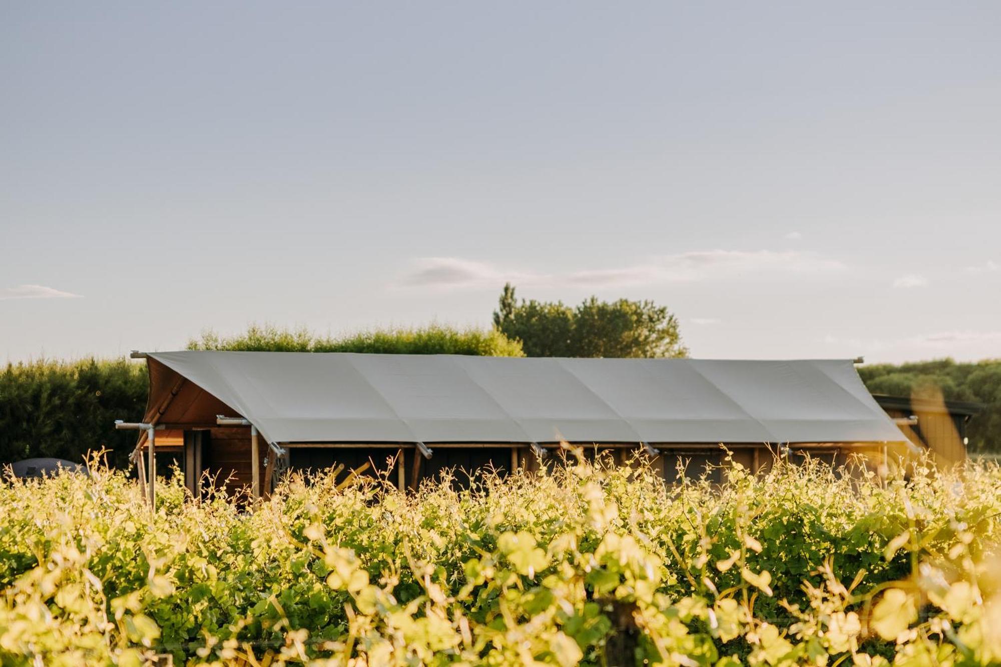 Villas & Vines Glamping ヘイスティングズ エクステリア 写真