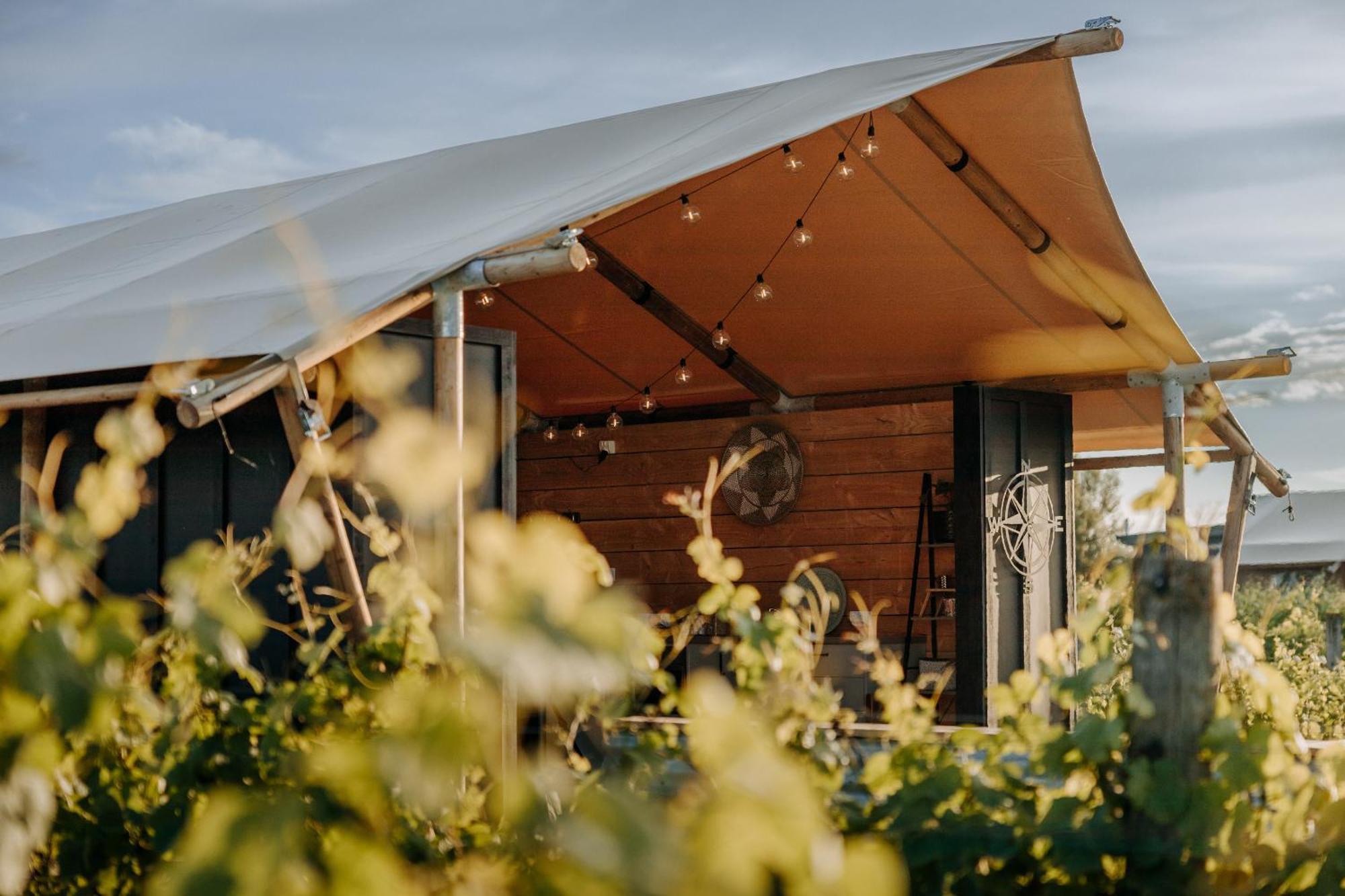 Villas & Vines Glamping ヘイスティングズ エクステリア 写真