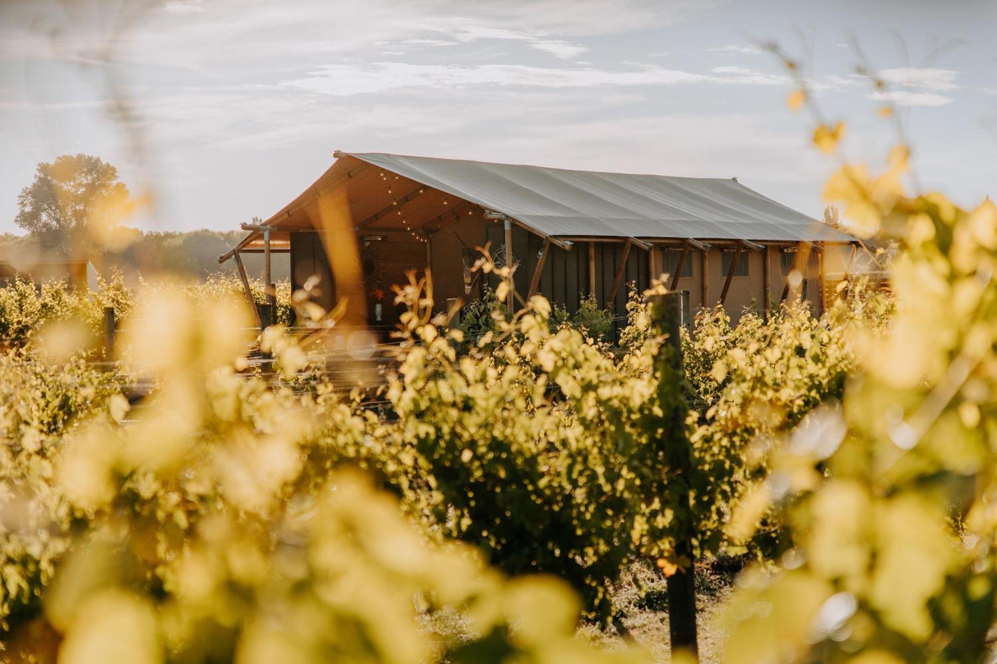 Villas & Vines Glamping ヘイスティングズ エクステリア 写真