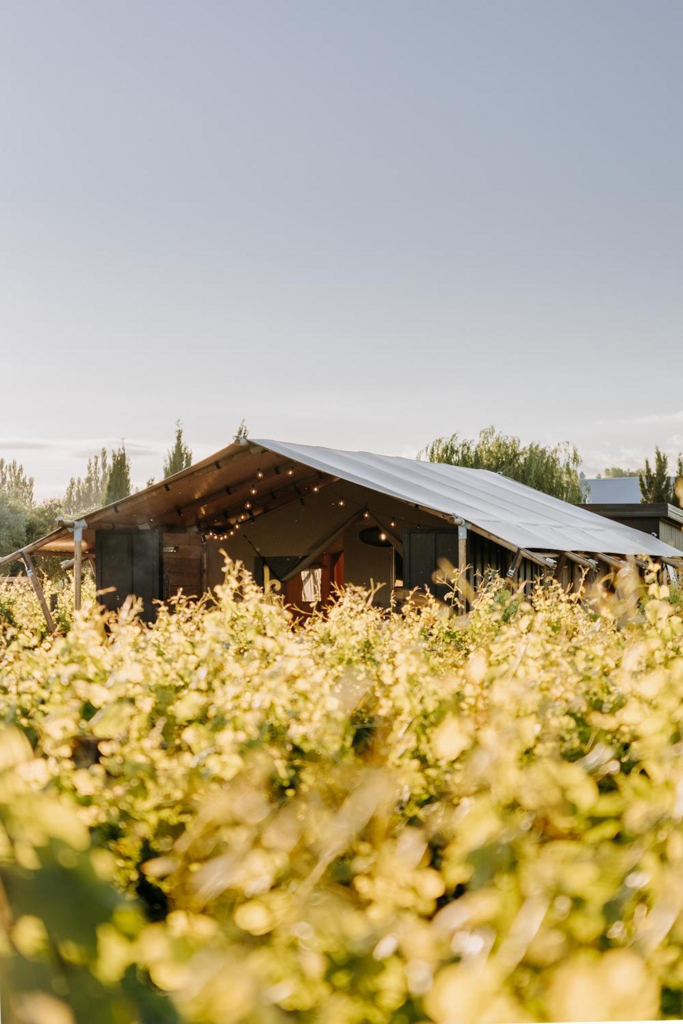 Villas & Vines Glamping ヘイスティングズ エクステリア 写真
